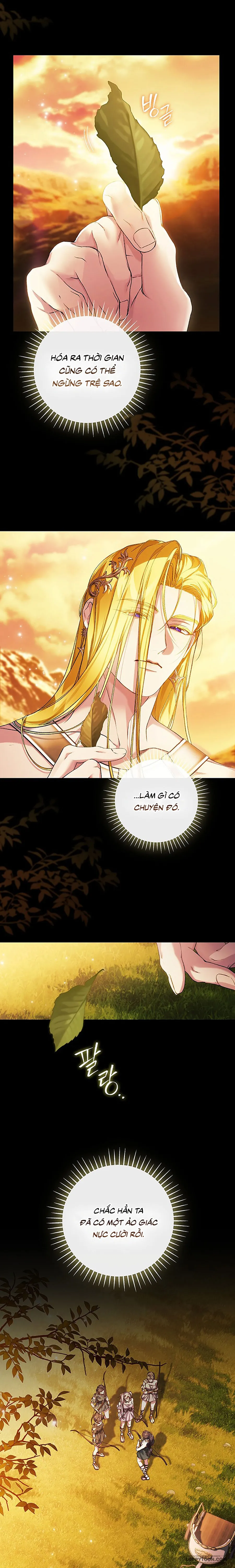 Dành Cho Các Nữ Thần: Dành Cho Daphne - Chap 35 - Trang 5