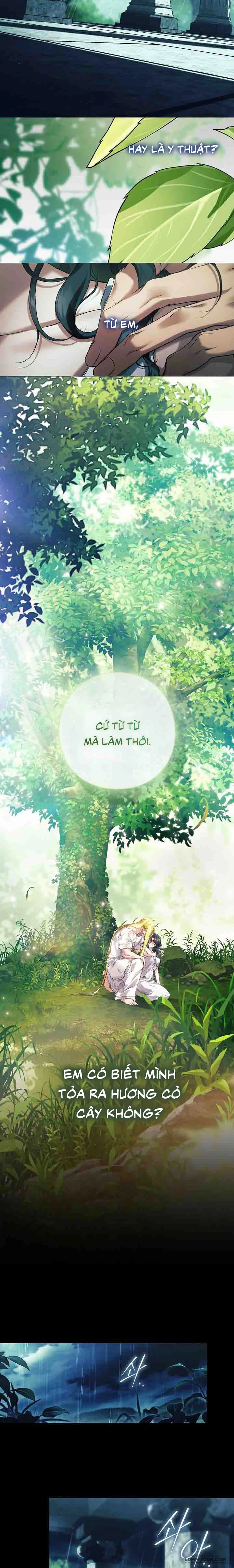 Dành Cho Các Nữ Thần: Dành Cho Daphne - Chap 36 - Trang 15