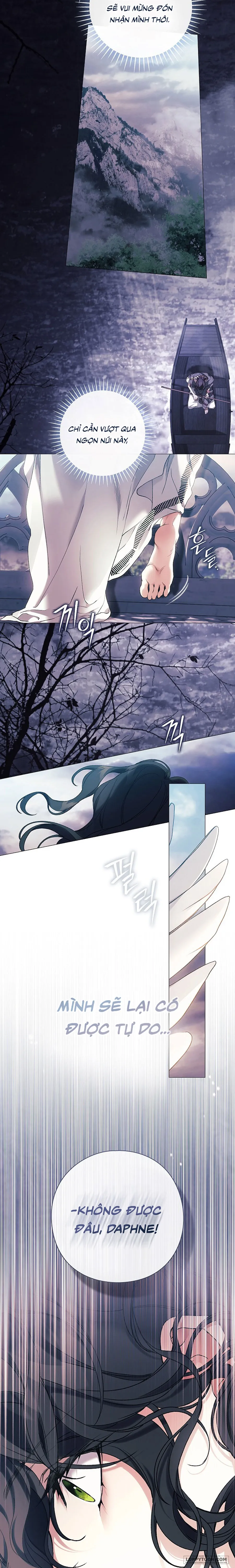 Dành Cho Các Nữ Thần: Dành Cho Daphne - Chap 38 - Trang 13