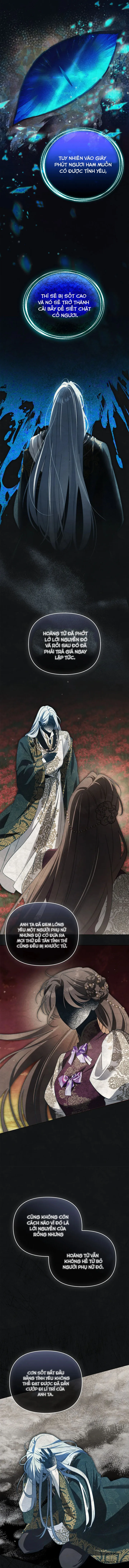 Dành Cho Nàng Juliet Xinh Đẹp - Chap 26 - Trang 12