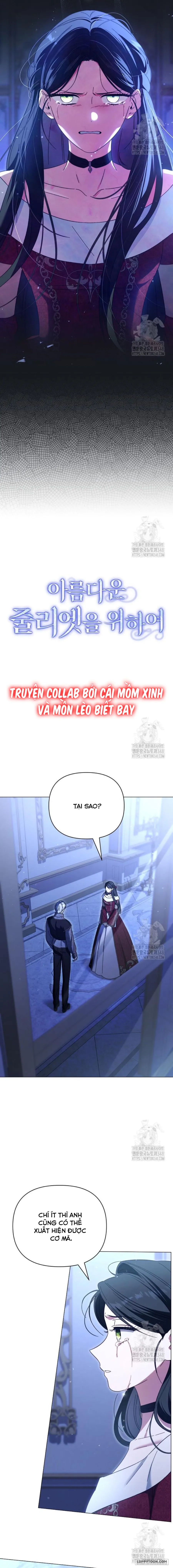 Dành Cho Nàng Juliet Xinh Đẹp - Chap 7 - Trang 12