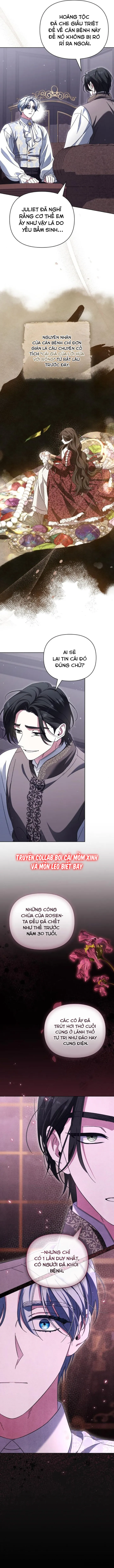 Dành Cho Nàng Juliet Xinh Đẹp - Chap 9 - Trang 11