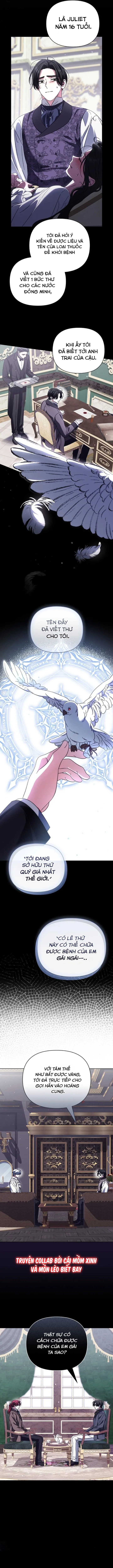 Dành Cho Nàng Juliet Xinh Đẹp - Chap 9 - Trang 12