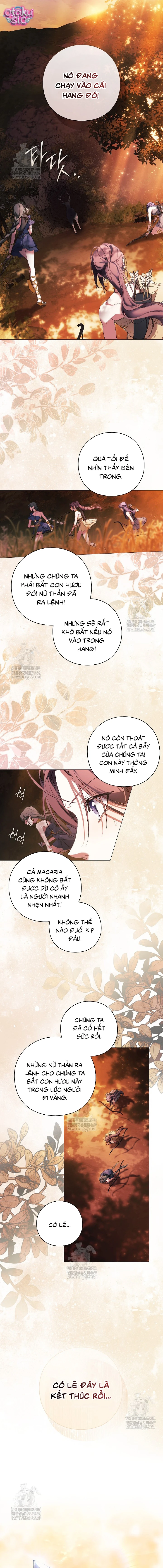 Dành Cho Nữ Thần: Dành Cho Daphne - Chap 1 - Trang 3