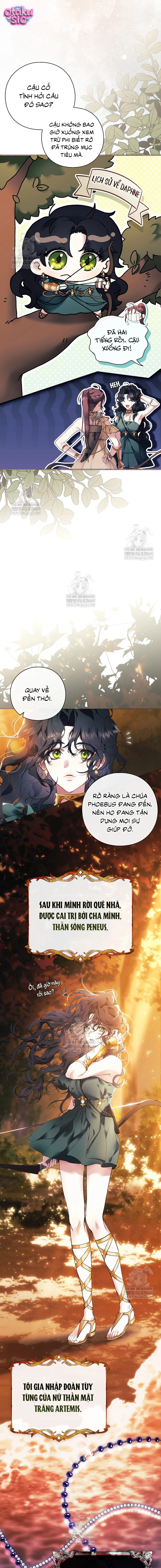 Dành Cho Nữ Thần: Dành Cho Daphne - Chap 1 - Trang 7