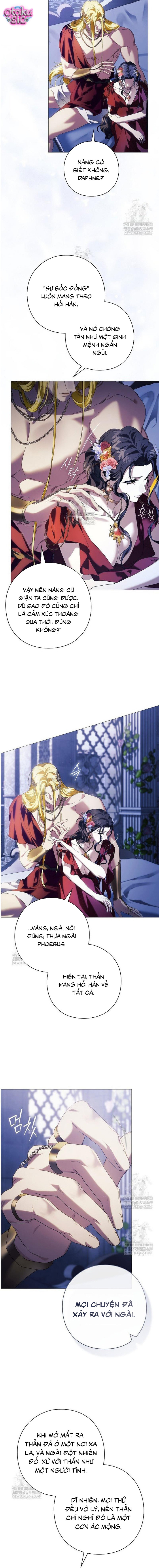 Dành Cho Nữ Thần: Dành Cho Daphne - Chap 12 - Trang 10