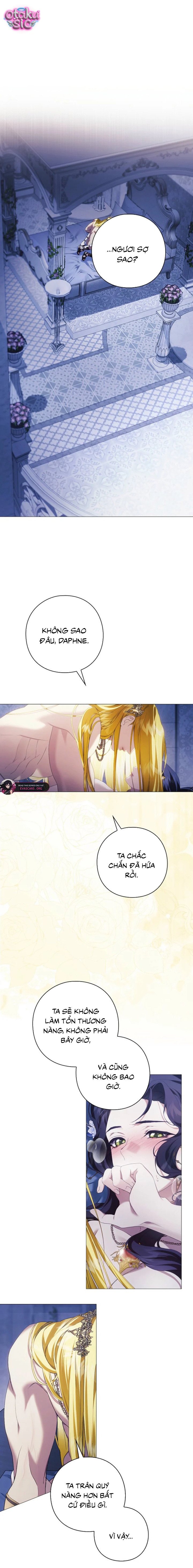 Dành Cho Nữ Thần: Dành Cho Daphne - Chap 14 - Trang 2