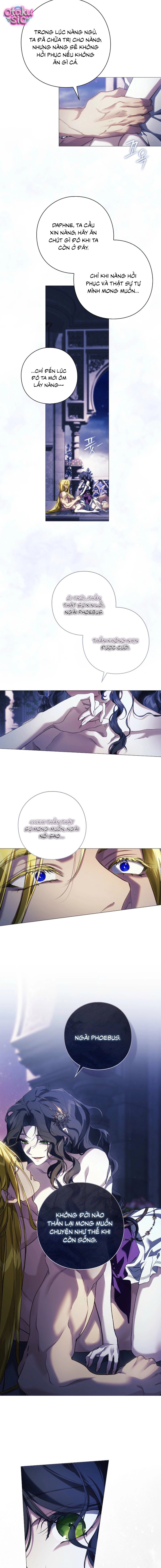 Dành Cho Nữ Thần: Dành Cho Daphne - Chap 29 - Trang 6