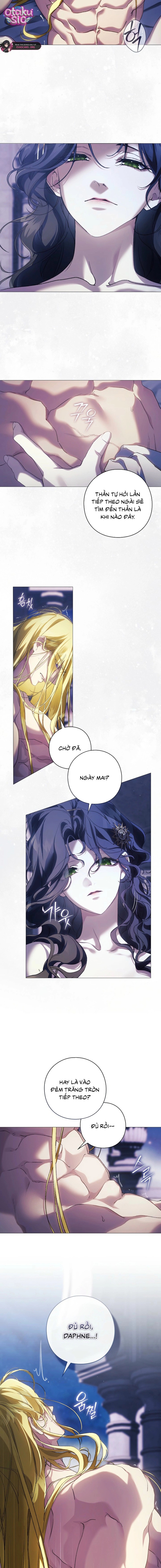 Dành Cho Nữ Thần: Dành Cho Daphne - Chap 29 - Trang 8