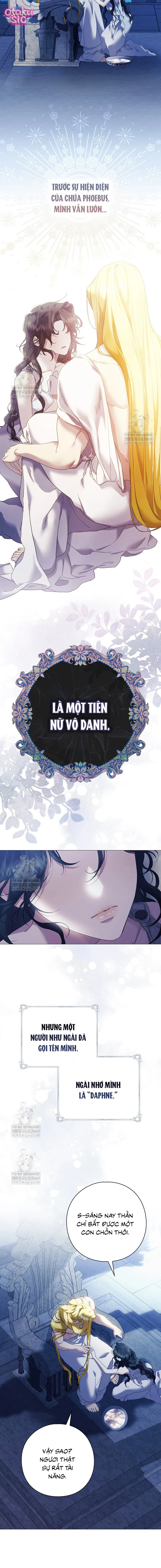 Dành Cho Nữ Thần: Dành Cho Daphne - Chap 3 - Trang 3