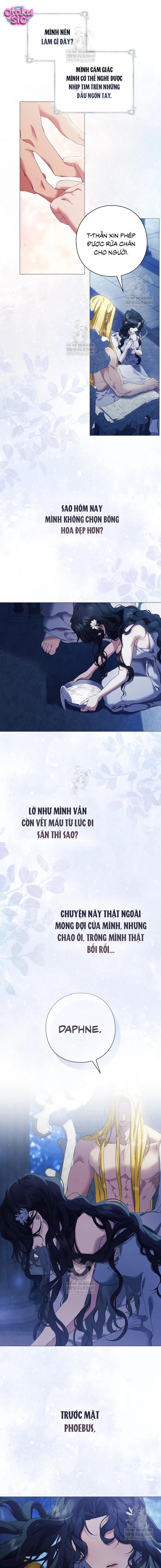Dành Cho Nữ Thần: Dành Cho Daphne - Chap 3 - Trang 4