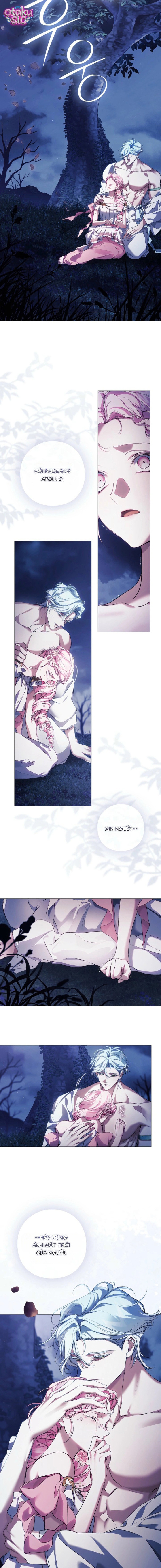Dành Cho Nữ Thần: Dành Cho Daphne - Chap 39 - Trang 12