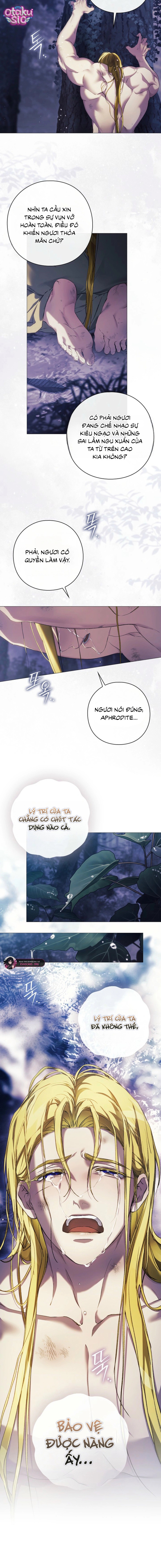 Dành Cho Nữ Thần: Dành Cho Daphne - Chap 42 - Trang 3