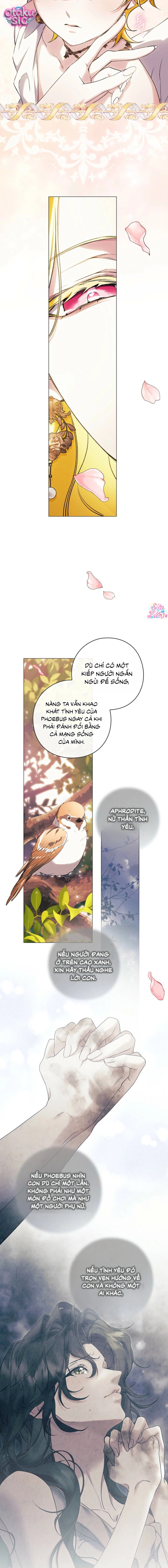 Dành Cho Nữ Thần: Dành Cho Daphne - Chap 43 - Trang 12