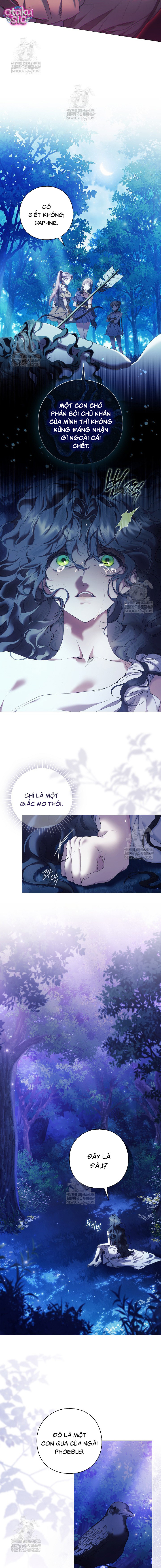 Dành Cho Nữ Thần: Dành Cho Daphne - Chap 6 - Trang 7