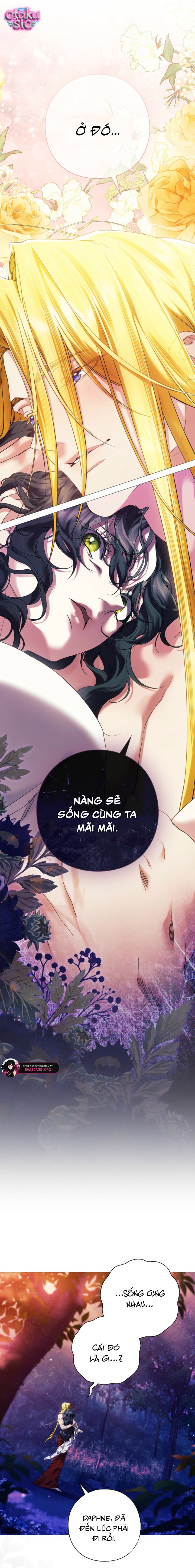 Dành Cho Nữ Thần: Dành Cho Daphne - Chap 8 - Trang 3