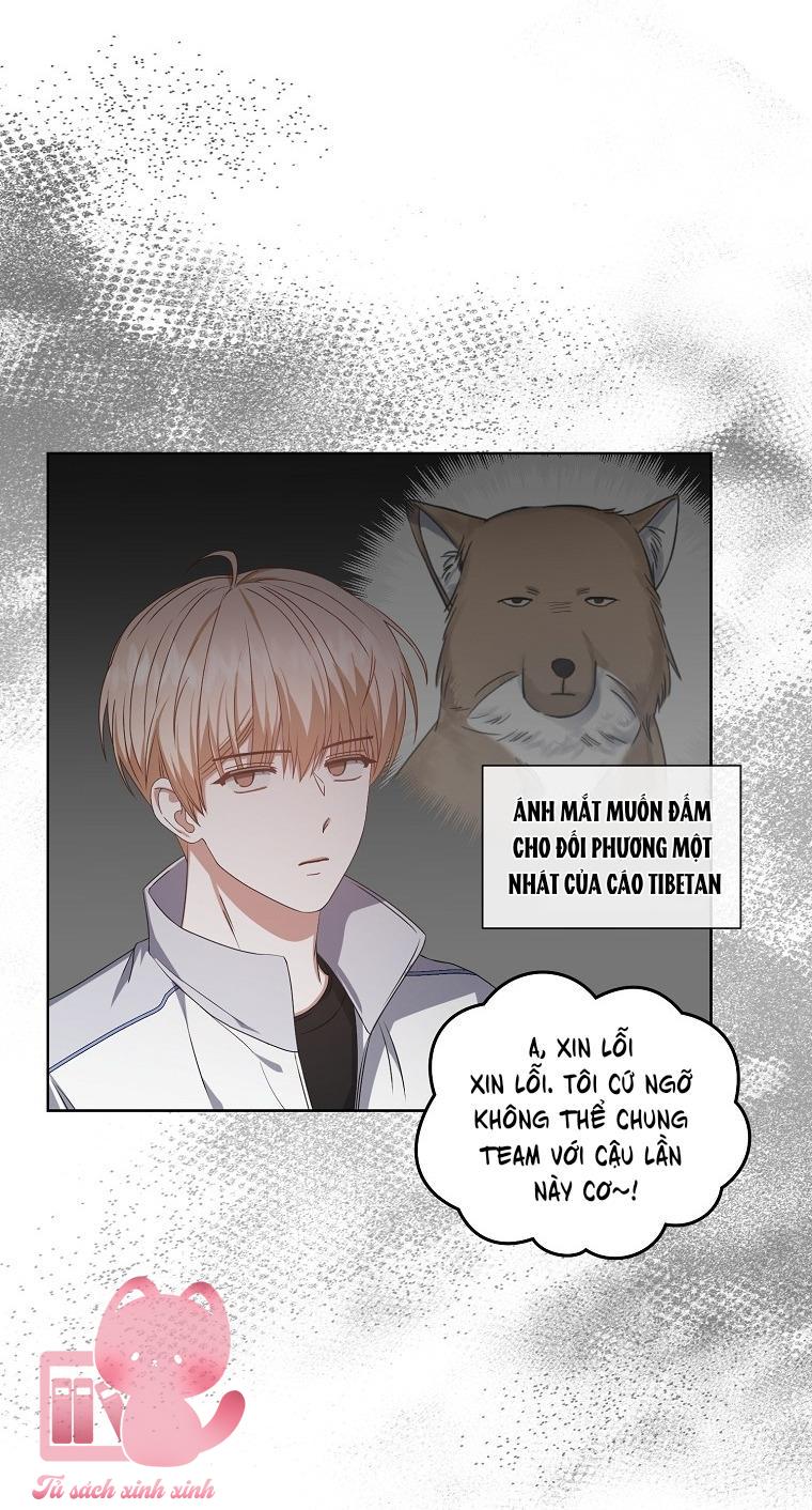 Debut Or Die - Chap 39 - Trang 20