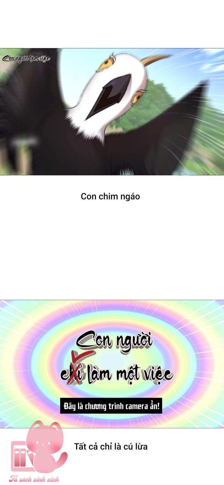 Debut Or Die - Chap 81 - Trang 4