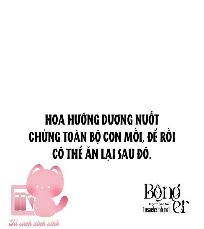 Đêm Của Bóng Tối - Chap 50 - Trang 11