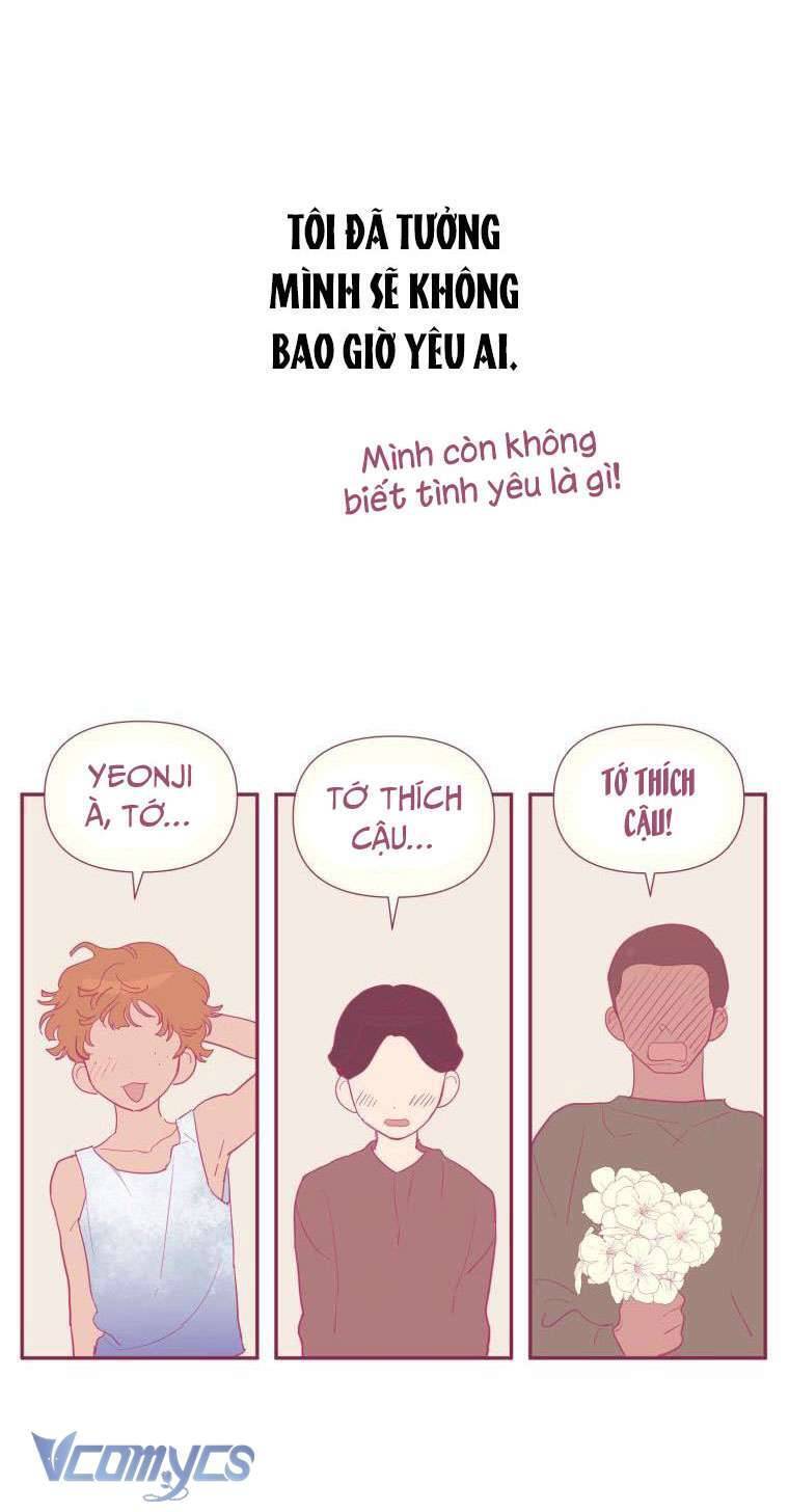 Điều Ước Sao Băng - Chap 1 - Trang 11