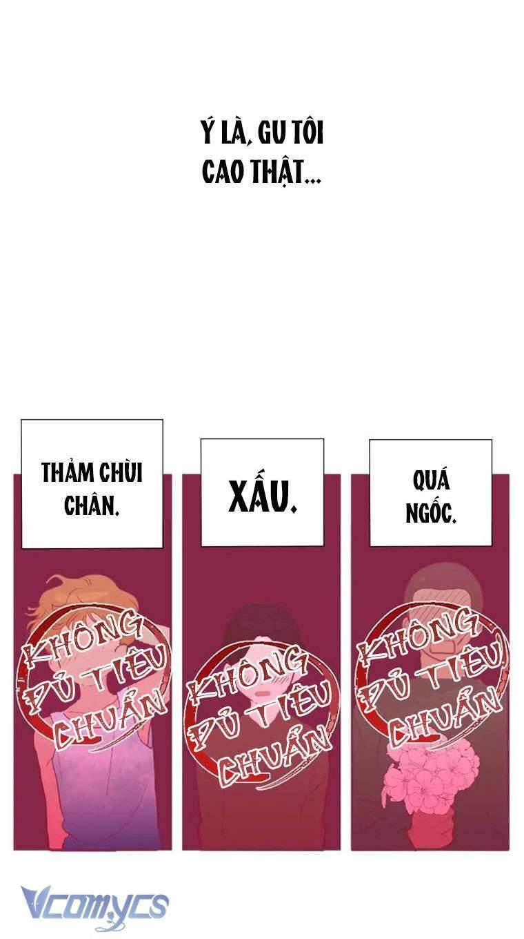 Điều Ước Sao Băng - Chap 1 - Trang 12