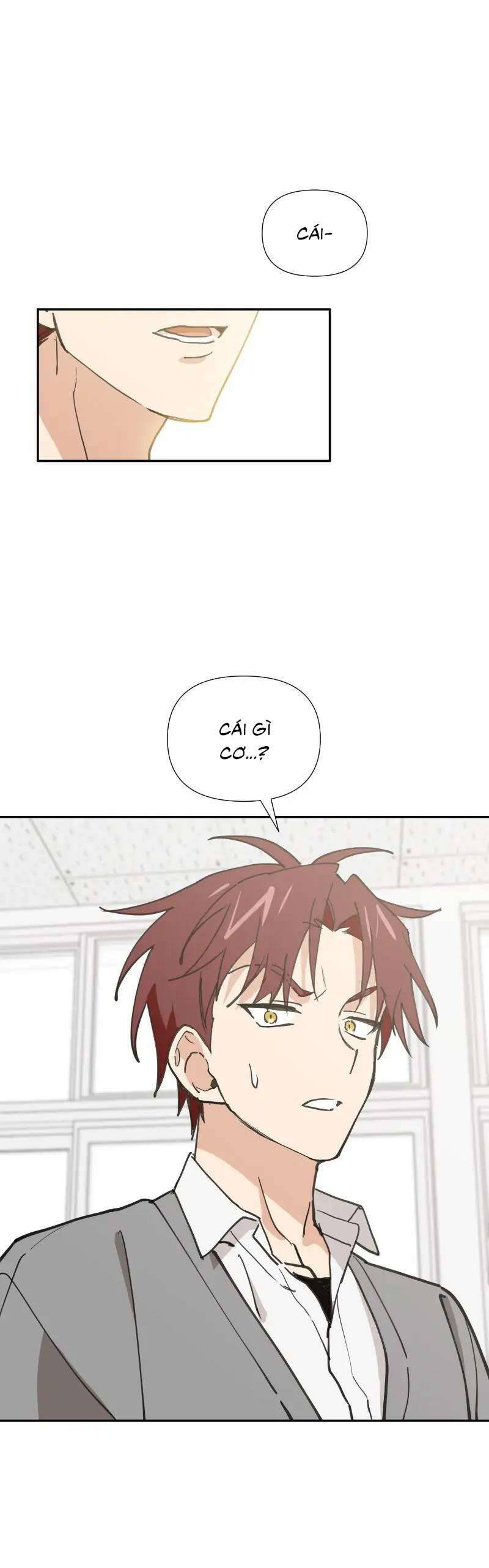 Điều Ước Sao Băng - Chap 10 - Trang 3