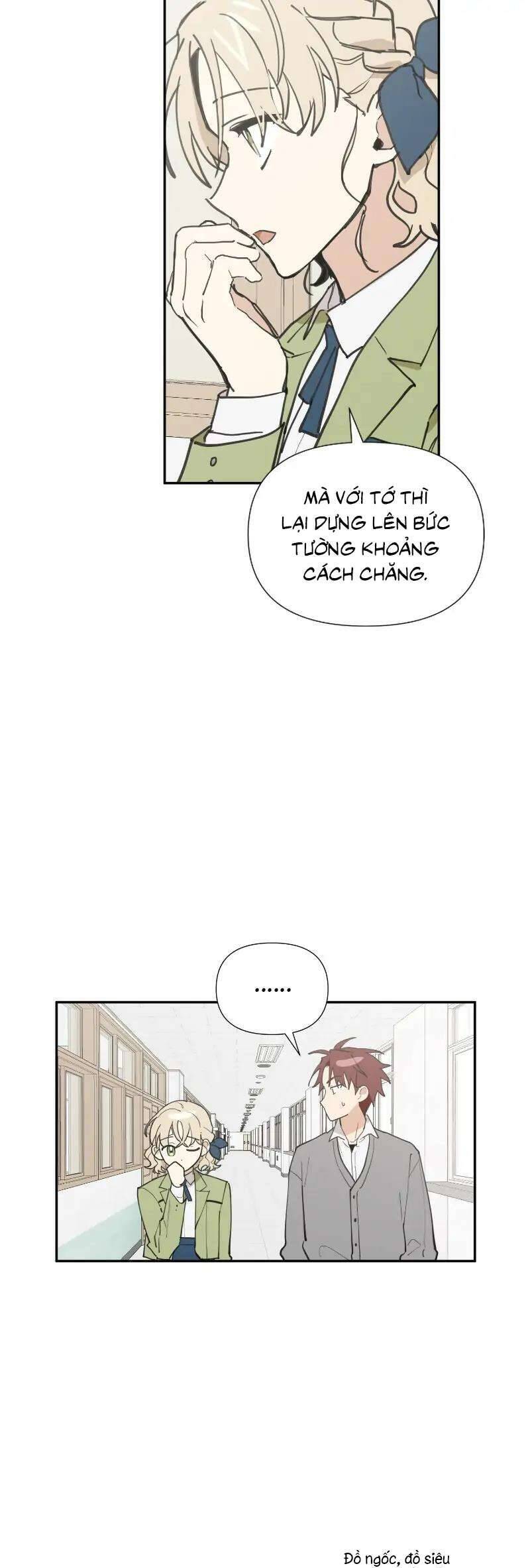 Điều Ước Sao Băng - Chap 10 - Trang 5