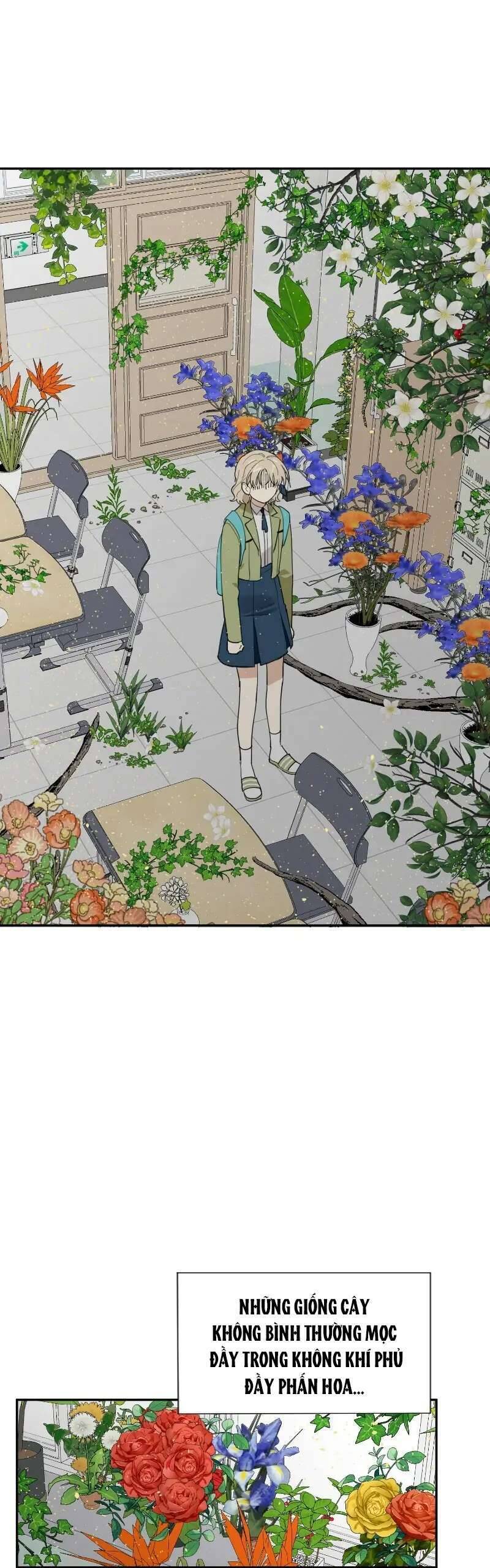 Điều Ước Sao Băng - Chap 11 - Trang 2