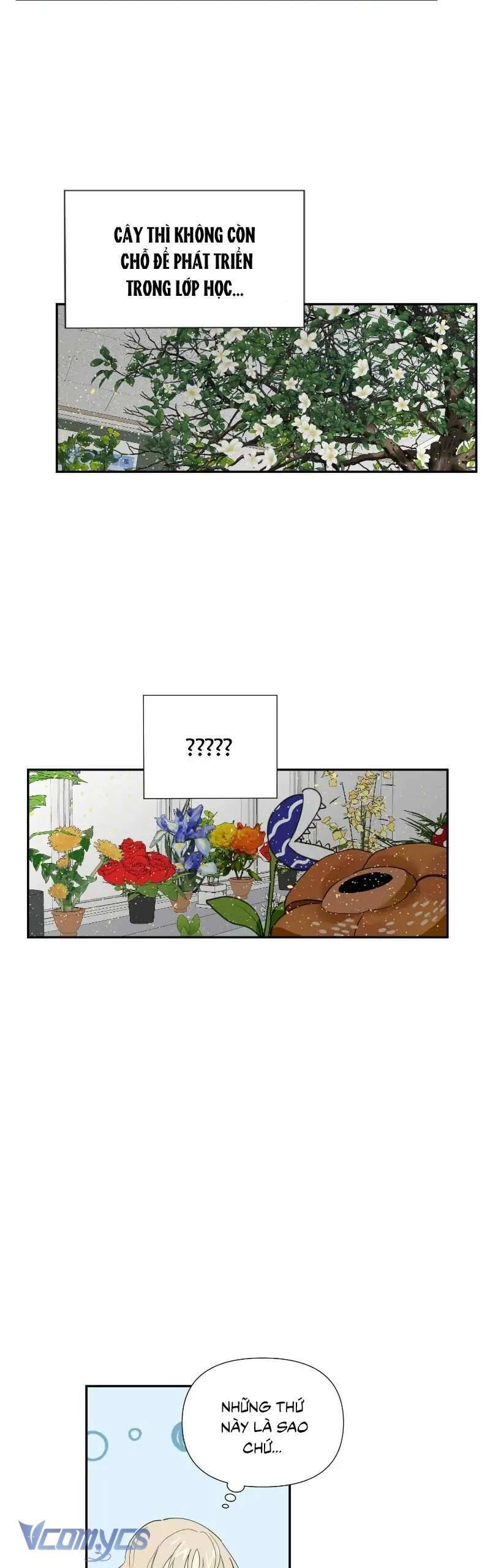 Điều Ước Sao Băng - Chap 11 - Trang 3