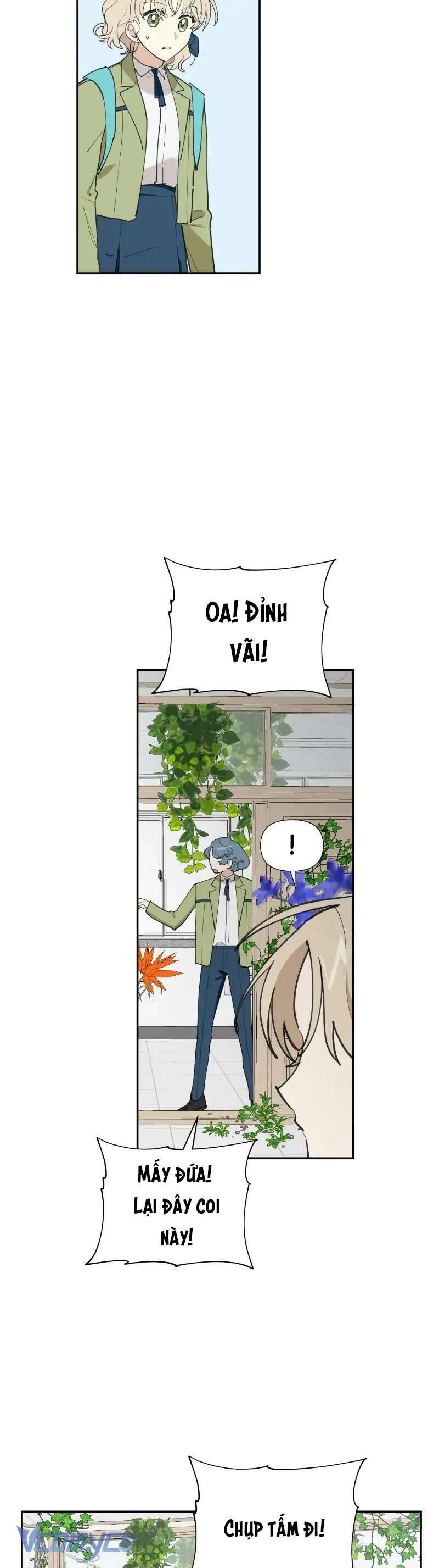 Điều Ước Sao Băng - Chap 11 - Trang 4
