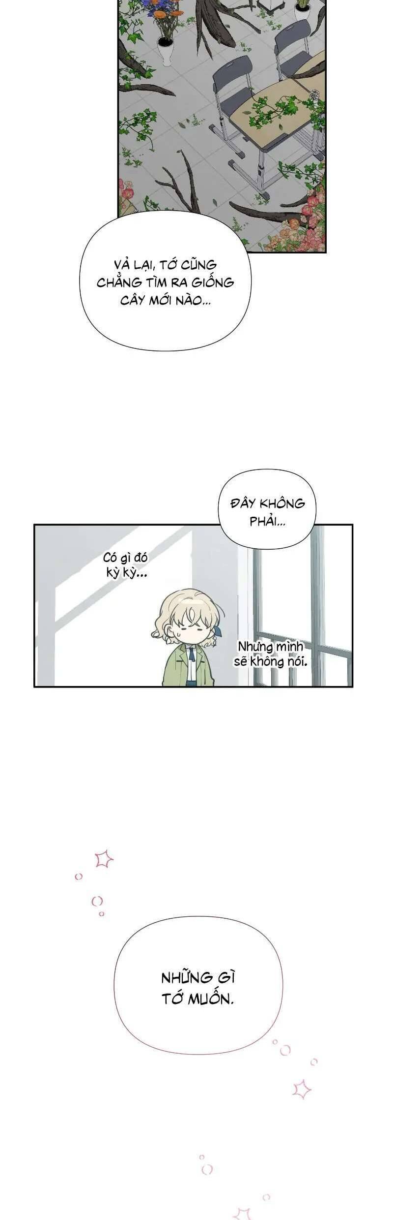 Điều Ước Sao Băng - Chap 11 - Trang 33