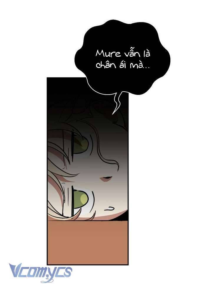 Điều Ước Sao Băng - Chap 2 - Trang 47