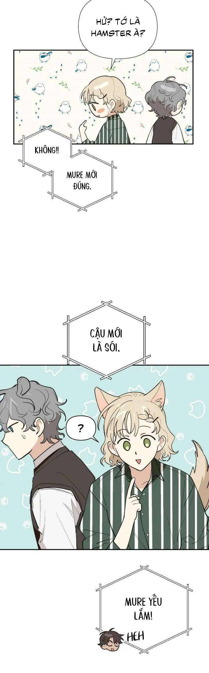 Điều Ước Sao Băng - Chap 23 - Trang 21