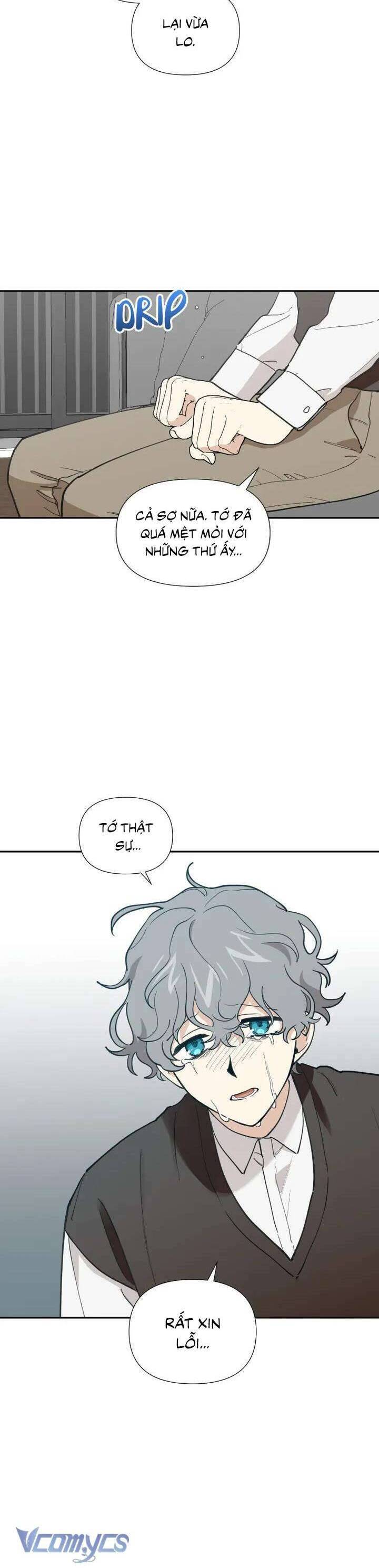 Điều Ước Sao Băng - Chap 26 - Trang 4