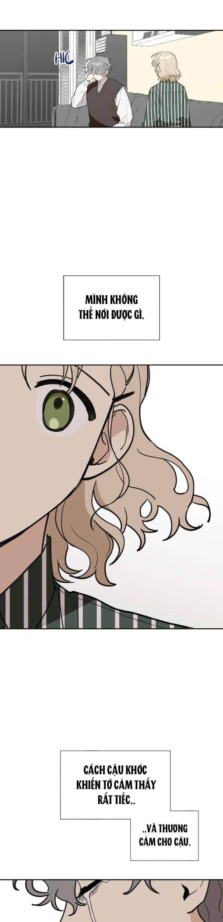 Điều Ước Sao Băng - Chap 26 - Trang 5