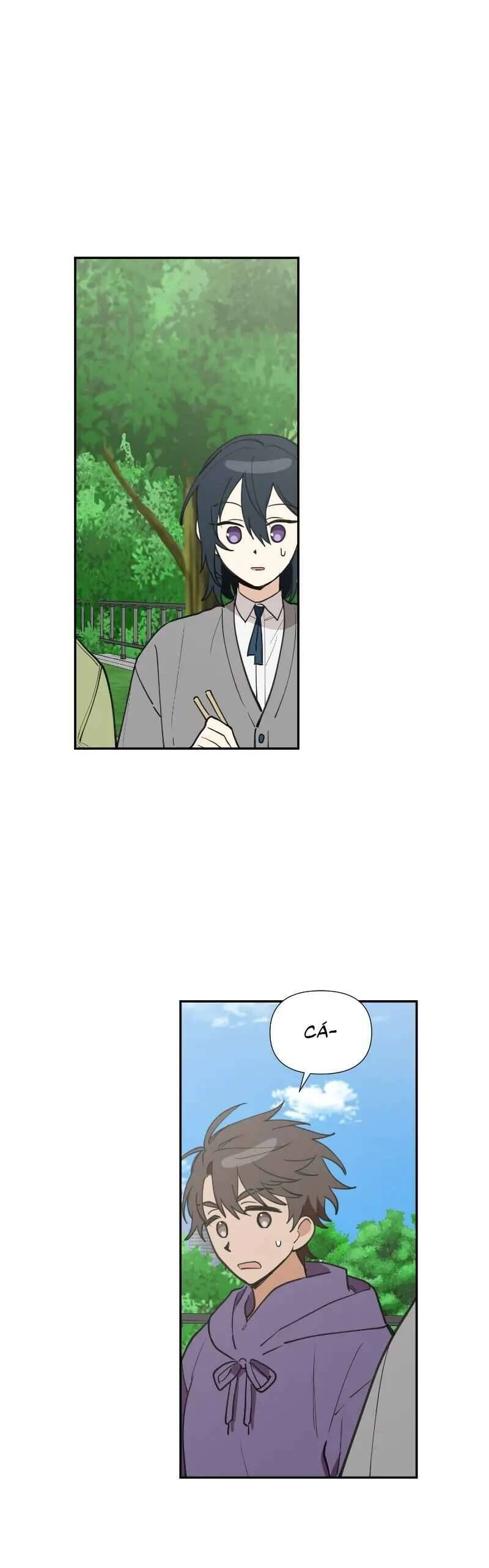 Điều Ước Sao Băng - Chap 29 - Trang 32