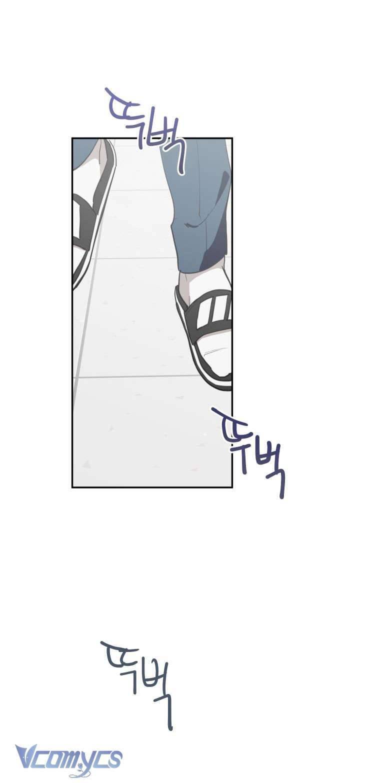 Điều Ước Sao Băng - Chap 3 - Trang 51