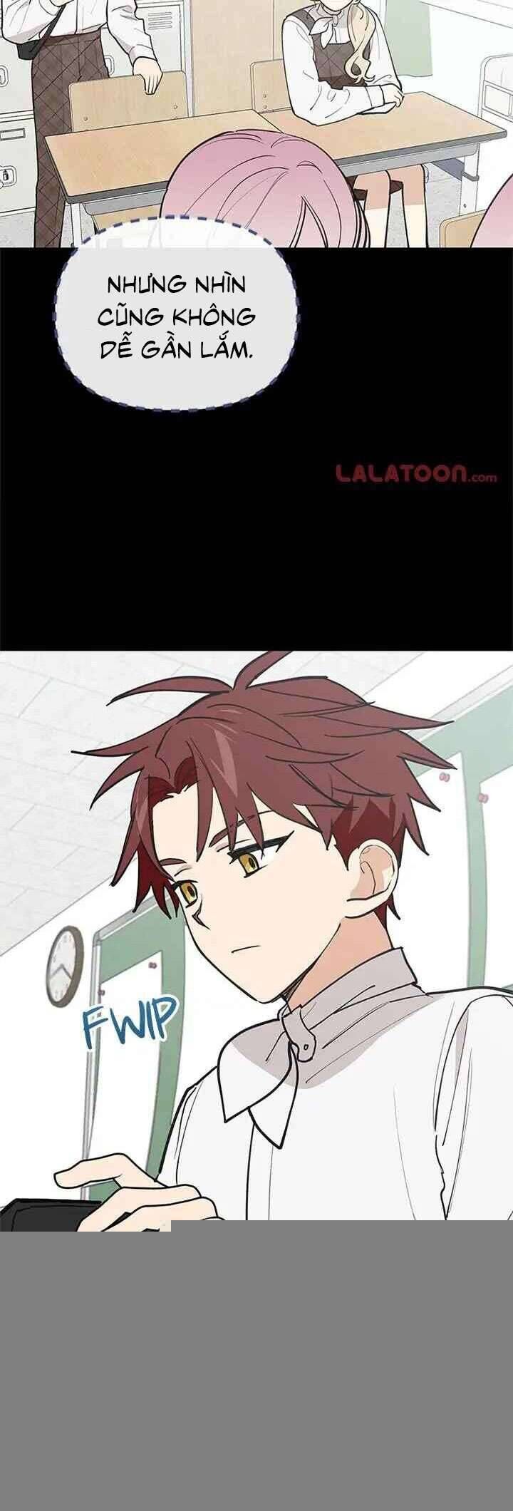 Điều Ước Sao Băng - Chap 42 - Trang 5