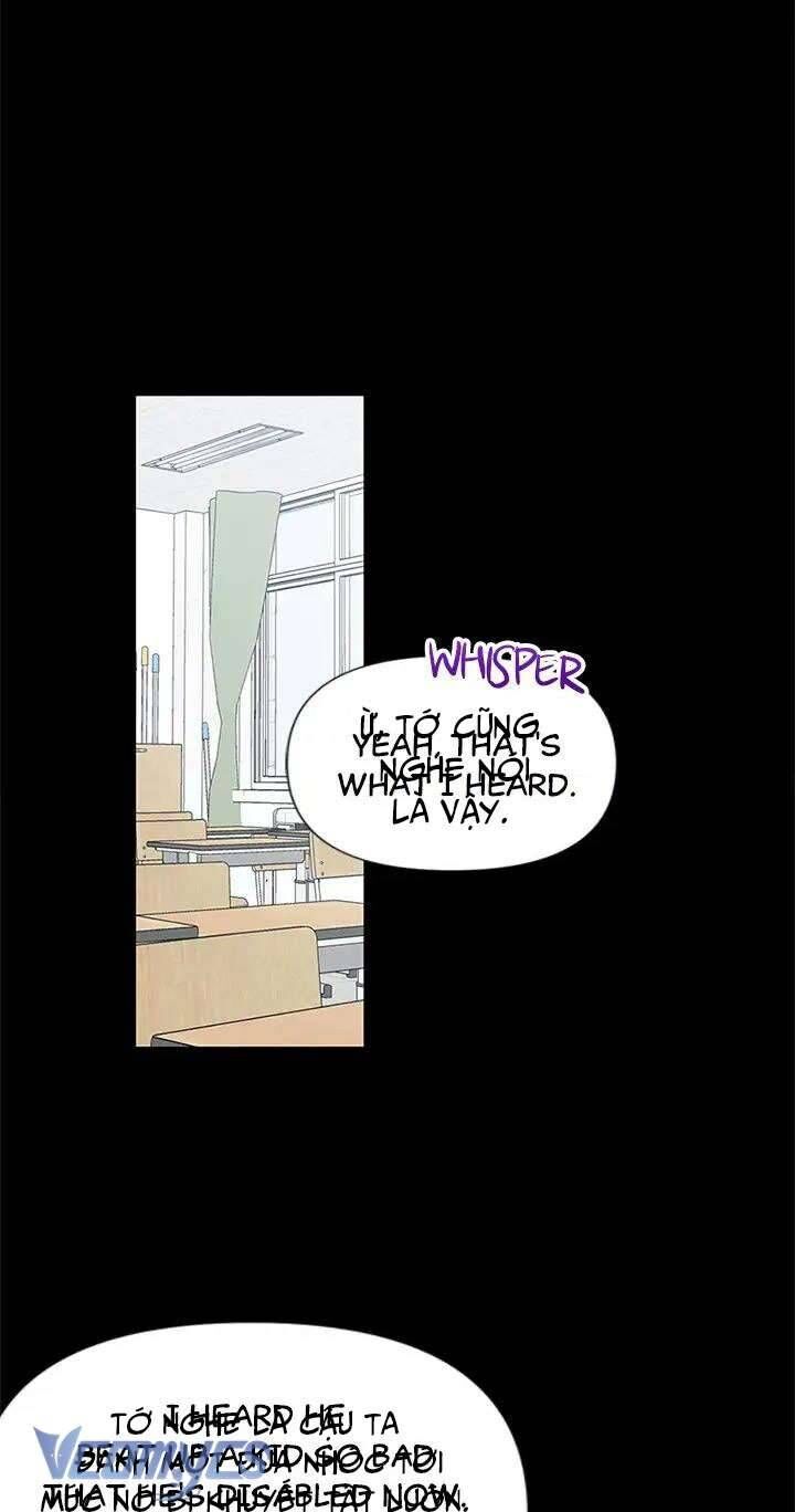 Điều Ước Sao Băng - Chap 43 - Trang 8