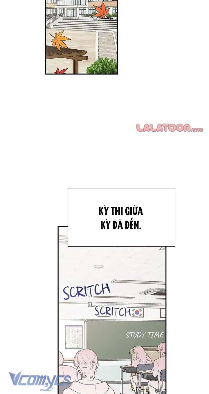 Điều Ước Sao Băng - Chap 49 - Trang 3