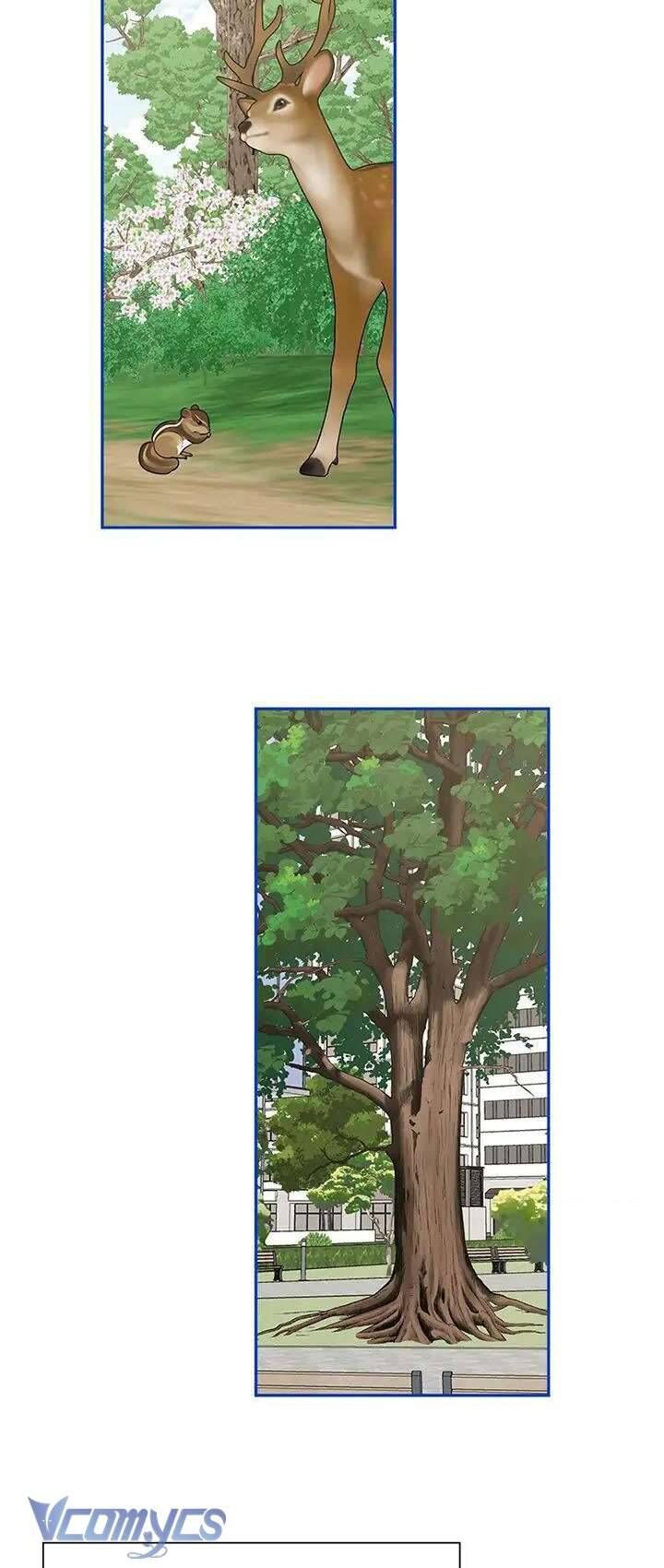 Điều Ước Sao Băng - Chap 50 - Trang 29
