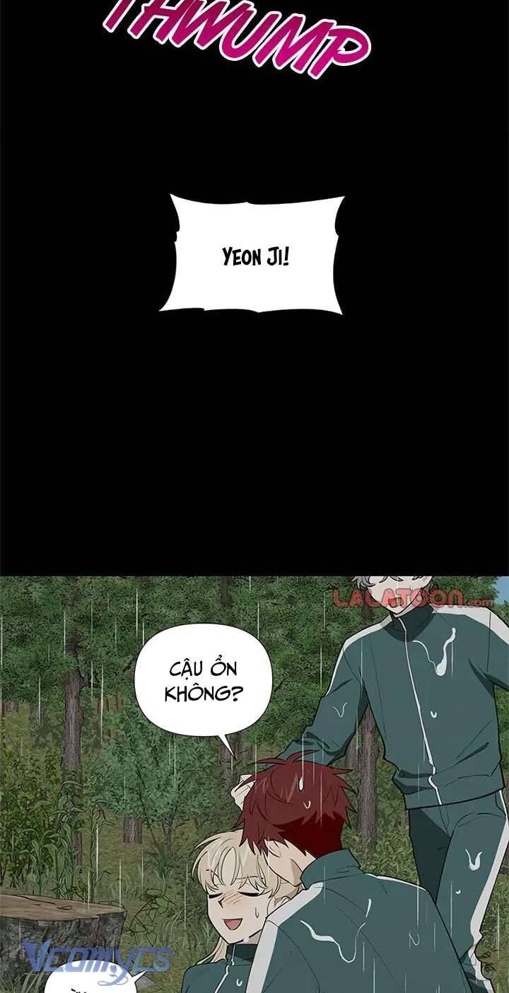 Điều Ước Sao Băng - Chap 51 - Trang 19