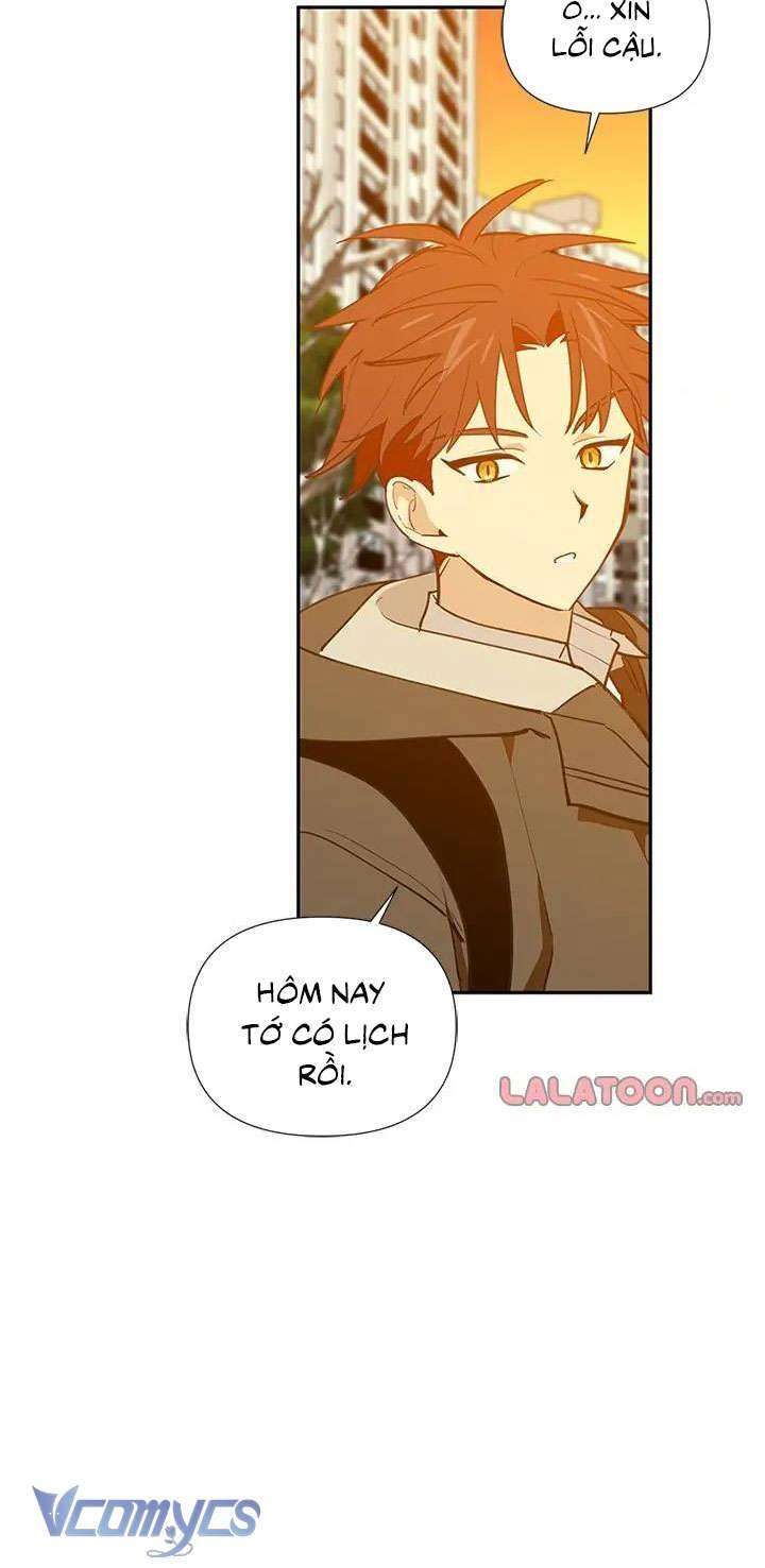 Điều Ước Sao Băng - Chap 55 - Trang 18