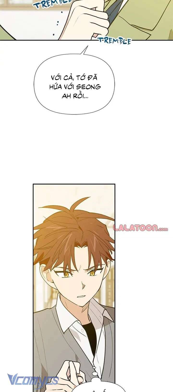 Điều Ước Sao Băng - Chap 56 - Trang 21