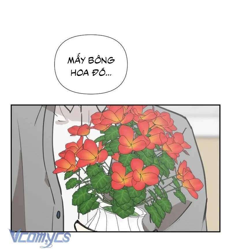 Điều Ước Sao Băng - Chap 82 - Trang 42
