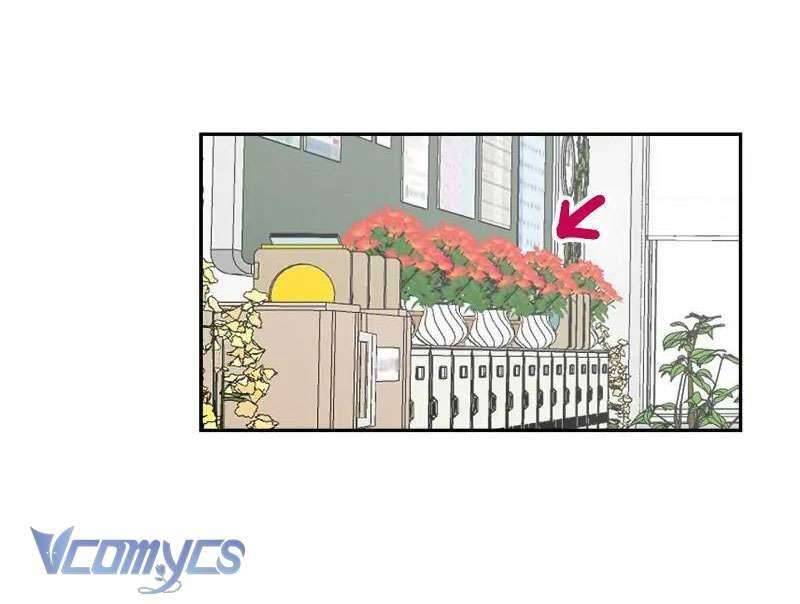 Điều Ước Sao Băng - Chap 82 - Trang 43