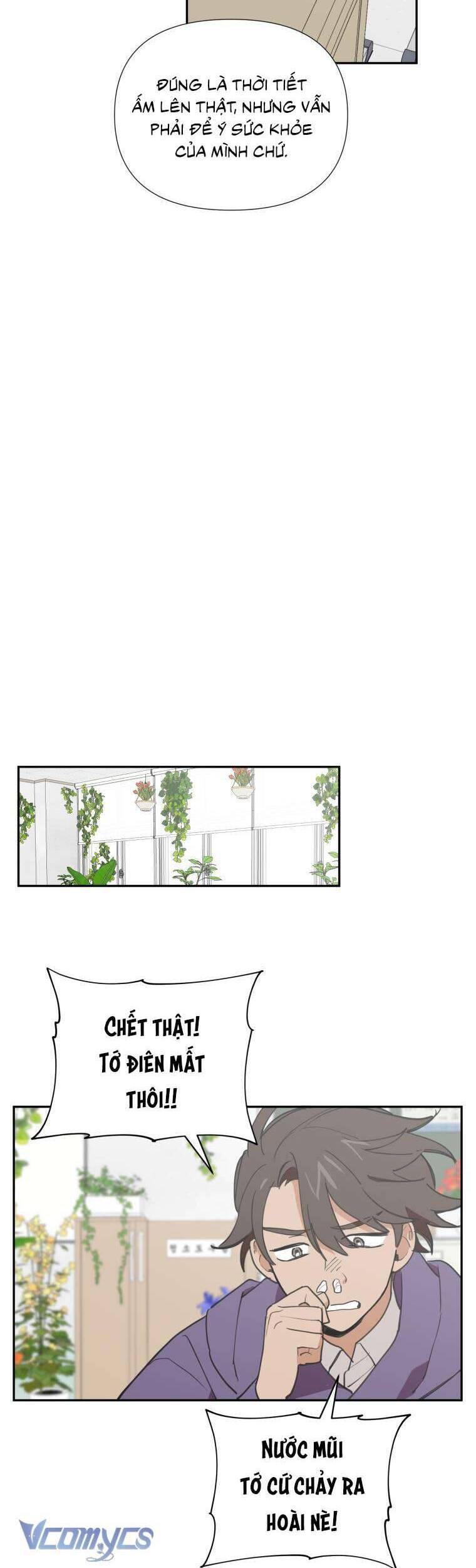 Điều Ước Sao Băng - Chap 9 - Trang 11