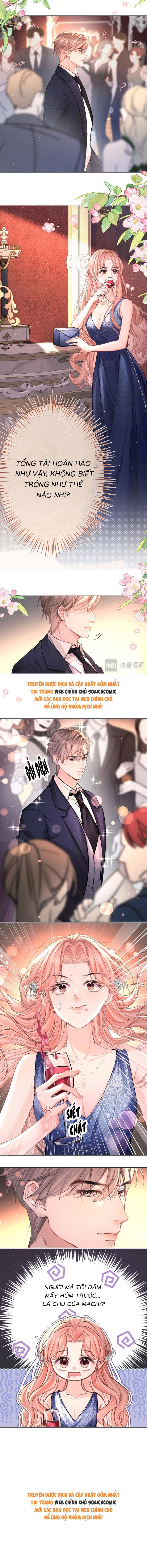 Định Mệnh Sau Cú Đấm Nhầm - Chap 3 - Trang 9