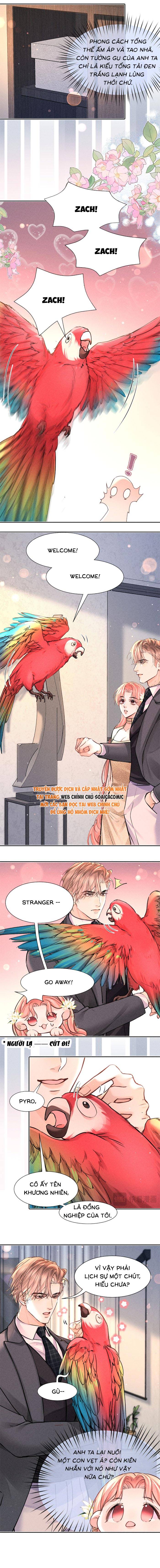 Định Mệnh Sau Cú Đấm Nhầm - Chap 31 - Trang 5