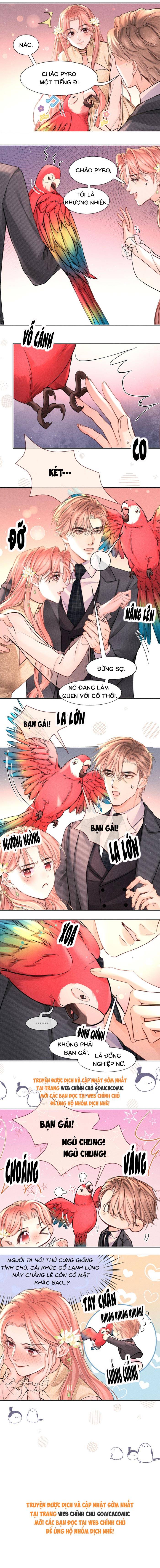 Định Mệnh Sau Cú Đấm Nhầm - Chap 31 - Trang 6